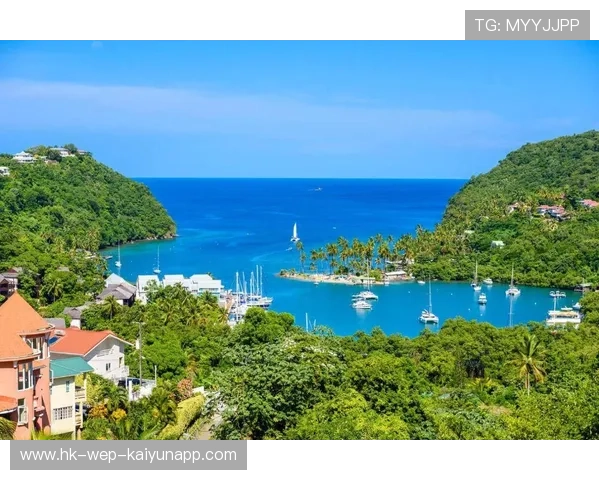 圣卢西亚体育产业逐步多元化，圣卢西亚生活真实状况